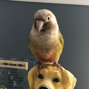 Meet your Posher, Jonathan